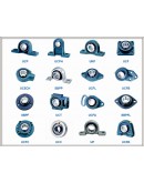 Kind Of Bearings And Types